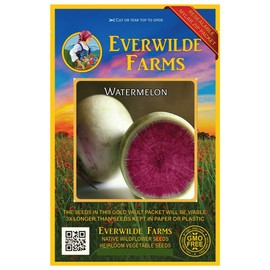 Everwilde Farms - 300 Watermelon Radish Seeds - Gold Vault Jumbo Seed Packet