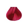 Kiss Tintation Semi Permanent Hair Colour With Argan Oil, Aloe