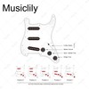 Musiclily Pro-SE ST-60SE Pre-wired SSS Pickguard with Staggered Alnico 5