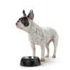 Hunter - Trough Melamine Kimberley Black 700Ml