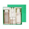 Innisfree Black Tea Youth Enhancing Skin Care Set / 이니스프리 블랙티 유스 인핸싱 스킨케어 세트
