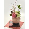 Sweet November 5D Birthday Present for Women, Popular, Cute Japanese