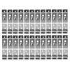 BITS4REASONS 24 X (12 PAIR) TRAILER NUMBER PLATE HOLDERS CLIPS