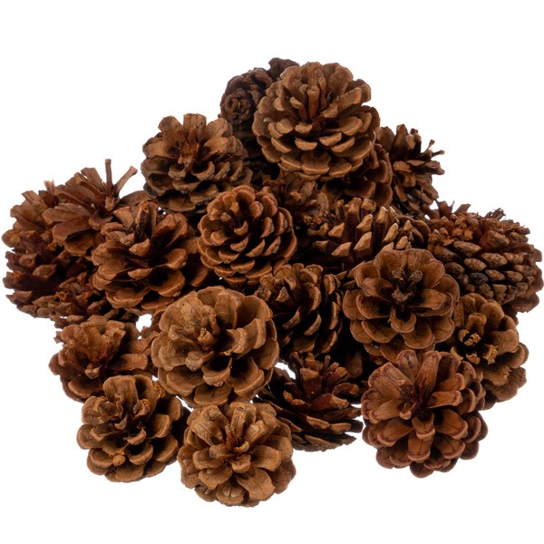 Cinnamon Scented Pinecones for Decorating - 1lb (40) Pack Small Cinnamon Pine Cones for Crafts and Vase Filler - Cinnamon Fragrance Pine Cones - Decorative Pinecones - Mini Pine Cones -Pine Cone Decor
