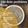 Bäckerei Spiegelhauer Proofing Basket Set Round 500 g + Long