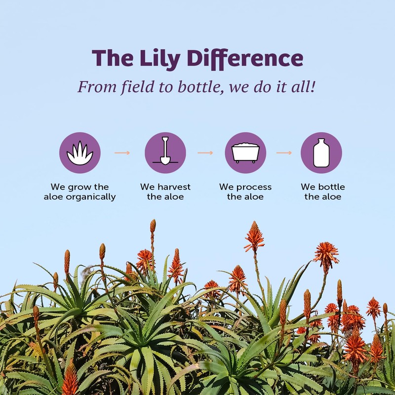 Lily Of The Desert Aloe Vera Herbal Detox Formula -