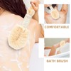 Ipetboom 2pcs Bath Brush Plants Dry Brushing Body Brush Dry