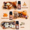 Autumn Fragrance Oils Set, AVEOIRA Fall Essential Oil Set for
