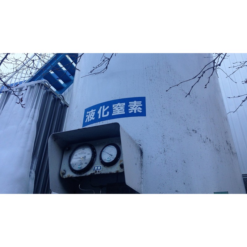 EXC-HG Low Profile Fuse 5 Amp EXC-HG-TH5S