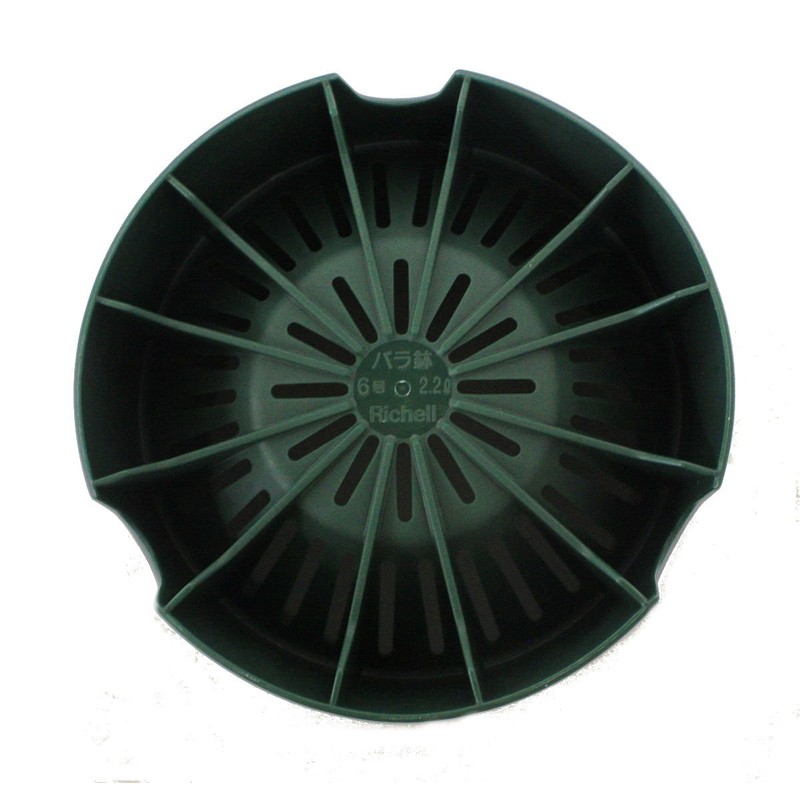 Richell Rose Pot, No. 8, Dark Green