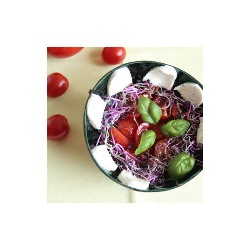 100+ pk Rambo Radish Seed, Home Garden, Sprouting Seeds