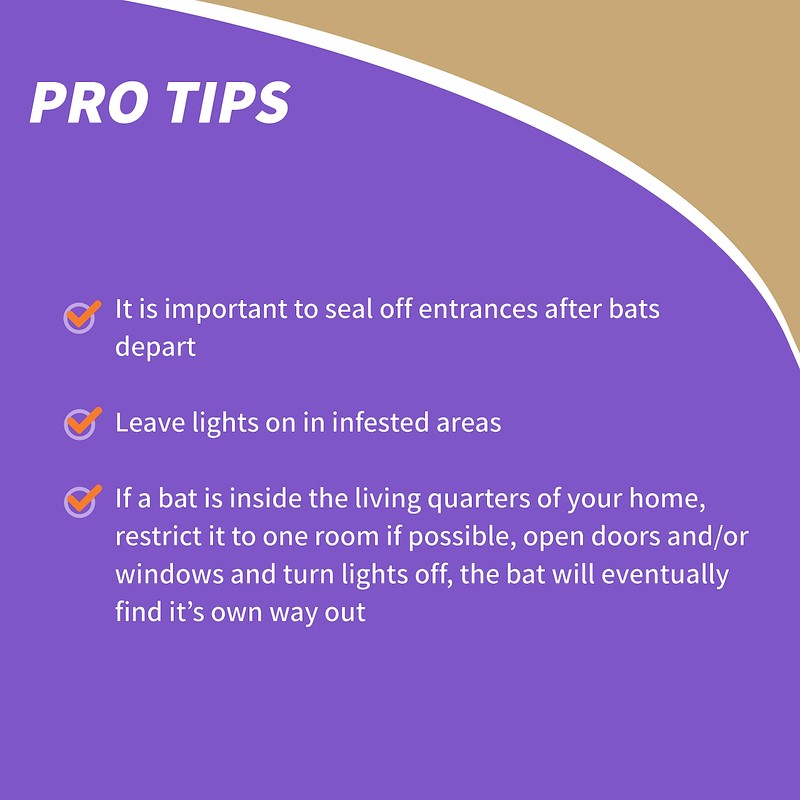 Bonide Bat Magic Bat Repellent, Pack of 4 Ready-to-Use Peppermint