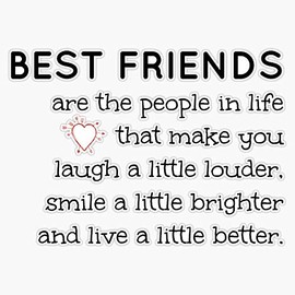 Best Friend Quote Vinyl Waterproof Sticker Decal Car Laptop Wall Window Bumper Sticker 5"