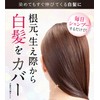 Sastty Rishiri Color Shampoo (Light Brown), Large Capacity, 16.9 fl