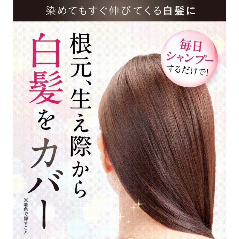 Sastty Rishiri Color Shampoo (Light Brown), Large Capacity, 16.9 fl