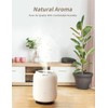 SmartDevil 1.2L Cool Mist Humidifier, Top Fill Ultrasonic Smart Air