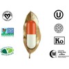 DR T&T 200 gelatin gelatine Capsules size 0 light green