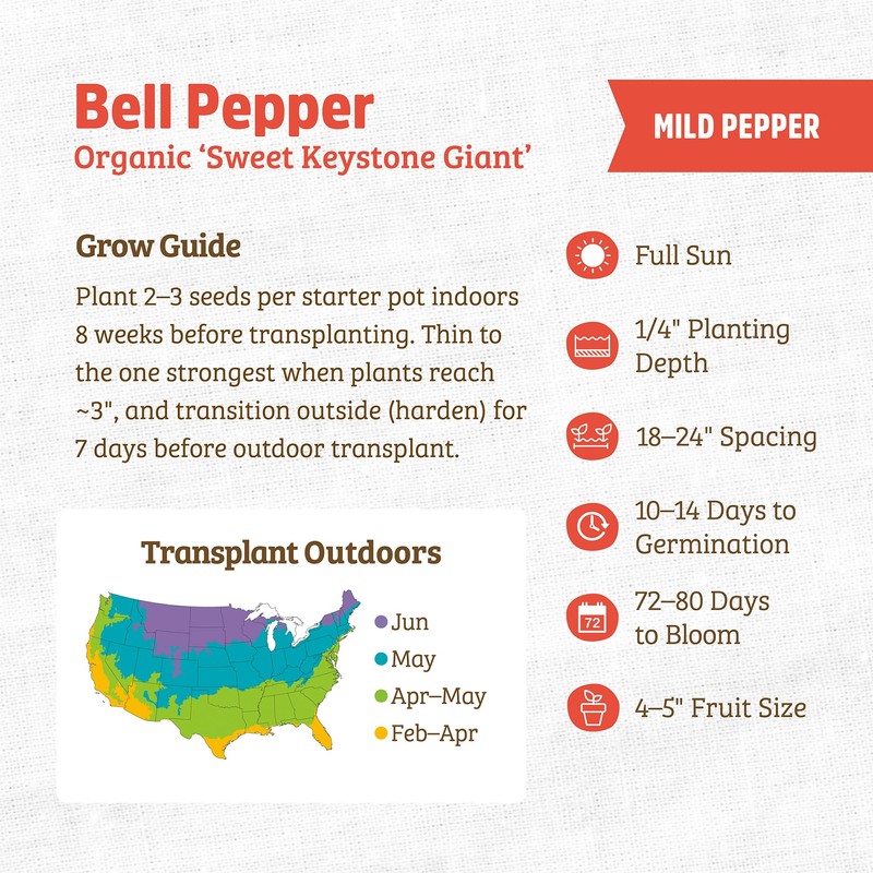 Back to The Roots 100% Organic Seed Packet - Bell