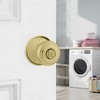 BRIXWELL Closet Back Plate Metal Material, Polished Brass Finish, 2-3/4"