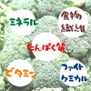 ブロッコリーパウダー 野菜パウダー 国産野菜 国内加工 無添加 ブロッコリー粉末 粉 乾燥 微粉末 60ｇ