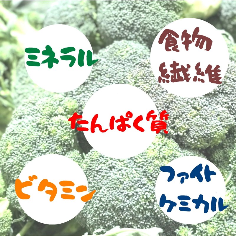 ブロッコリーパウダー 野菜パウダー 国産野菜 国内加工 無添加 ブロッコリー粉末 粉 乾燥 微粉末 60ｇ