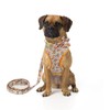 Beirui Cute Girl Dog Collars, Harnesses & Leashes Set -