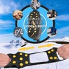 QeeHeng Ice Cleats Snow Traction Cleats Crampons,Ice & Snow Grips