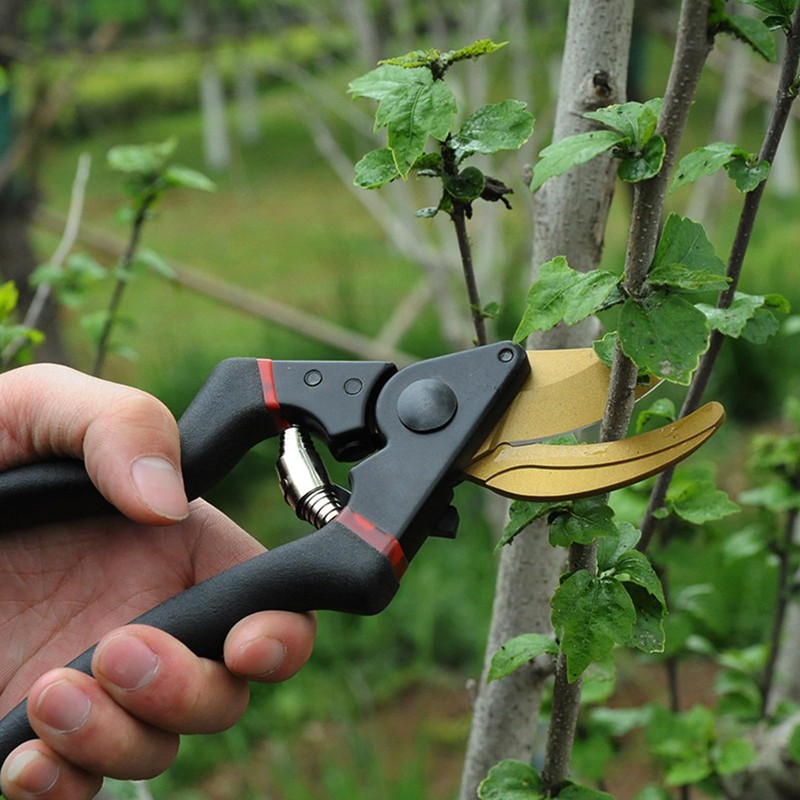 剪定ばさみ 園芸用はさみ 剪定はさみ 2段階調節可能