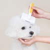 PETHROOM [Pessroom] Healing Slicker Brush for Dogs & Cats -