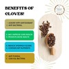 MJ TASTE NATURAL Clove Powder, 1.76 oz (50g), Non-GMO, 100%