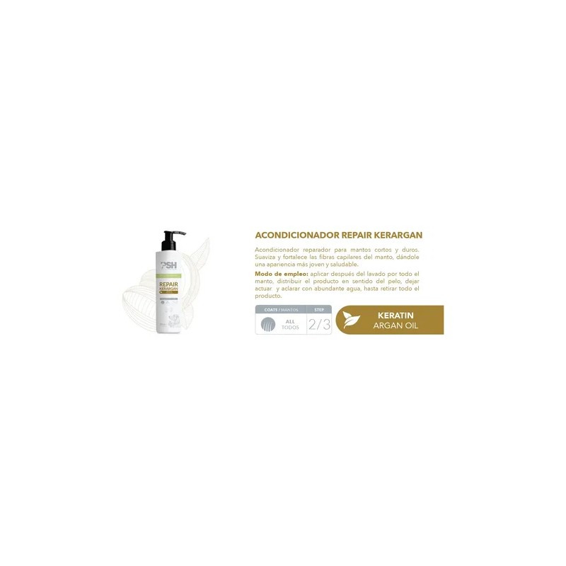Psh Repair Kerargan Conditioner