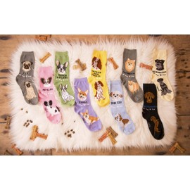 Foozys Unisex Crew Socks | Canine/Dog Collection | French Bulldog