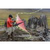 Prism Kite Technology Zenith 5 Single Line Delta Kite, Ultraviolet
