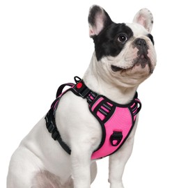 rabbitgoo Dog Harness Small Sized Dog, No Pull Pet Harness with Soft Padded Handle, Adjustable Reflective Vest with 3 Buckles, Easy Walking Harness with 2 Leash Clips, Pink, S