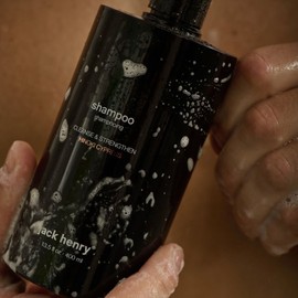 Jack Henry Shampoo Hinoki Cypress 400ml