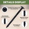 LIONMAX Lag Screws 3 Inch, Structural Wood Screw #14 x
