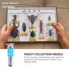 POPETPOP Collection Ornament Kits 200Pcs Stainless Steel Specimen Entomology Dissection