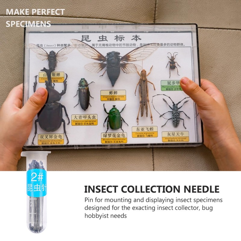 POPETPOP Collection Ornament Kits 200Pcs Stainless Steel Specimen Entomology Dissection