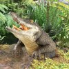 ABOOFAN Floating Crocodile Head Ornament Realistic Pond Decor for Pool