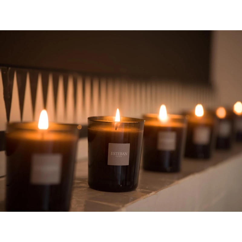 Esteban Ambre Scented Candle 170gm