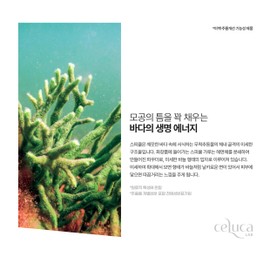 Seluka Celuka Caviar Caviar Pore Dead Skin Spicule Cream 3.5gx8ea / 셀루카 캐비토 캐비어 모공 각질 스피큘 크림 3.5gx8ea