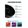 HAOTOP Ceramic Fun Slow Feeder Bowl, Porcelain Slow Eater Bowl