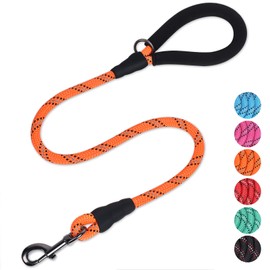 VIVAGLORY Strong Dog Lead with Thick Neoprene Padded Handle and Highly Reflective Threads, 120 cm Rope Walking and Training Lead for Medium and Large Dogs Pulling, Orange