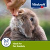 Vitakraft Drops Rabbit Treats with Wildberry Flavor – 5.3 oz