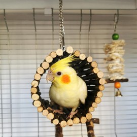 ZYYRSS Bird Swing Toy Parrot Swing Hanging, Natural Apple Wood Parrot Hammock, Bird Cage Accessories, Suitable for Little Bird Parakeets Cockatiels Lovebirds Hamster Rat