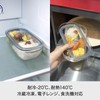 ライクイット (like-it) キッチン収納 プラスチック 密閉 保存容器 Sサイズ4個組 クリア FC-030 冷凍保存可