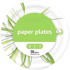 Basics Everyday Paper Plates, 10 Inch, Disposable, 100 Count - Size: 50 Count