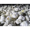Made in Taiwan, Organic Chrysanthemum Flower Tea, 0.7 oz (20