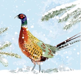 Boxed Christmas Cards - Pack of 20 Cards with Envelopes - Winter Birds