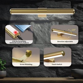 Swatia LED Picture Light, Battery Powered Painting Picture Lights, with timers and dimming Metal Remote Display Art Lamps, for Portrait, Wall Painting, Framework, Darts